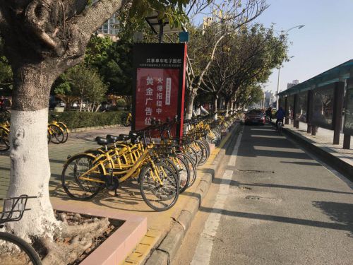 共享單車如何在市場競爭中活下來圖片